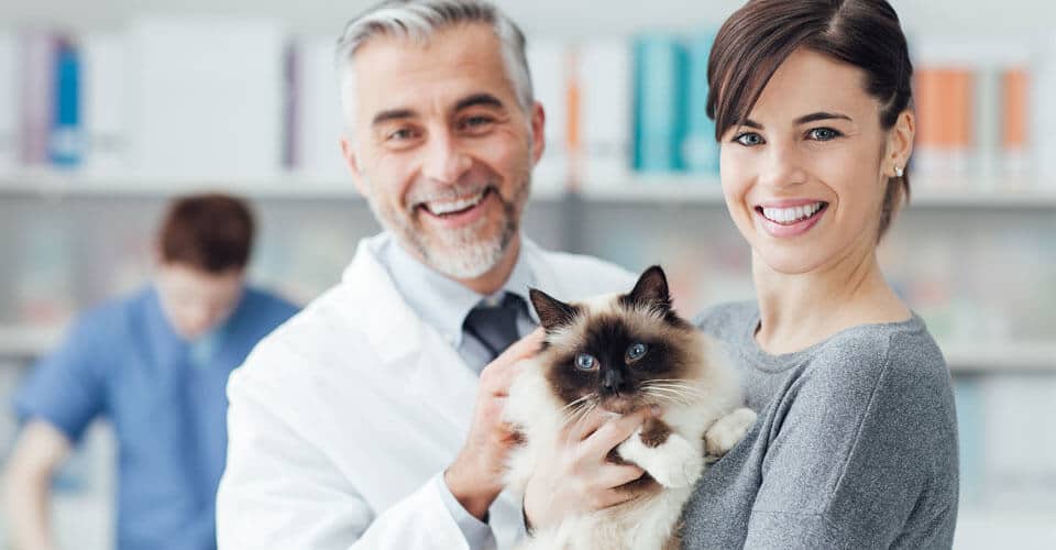 Manejo de facturas veterinarias: opciones de préstamos rápidos